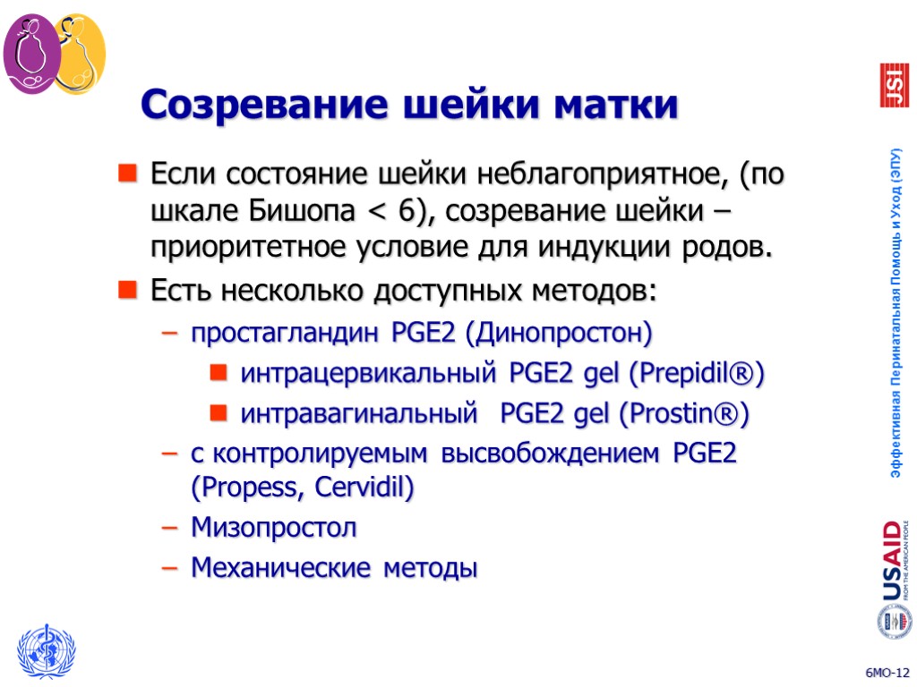 Созревание шейки матки Если состояние шейки неблагоприятное, (по шкале Бишопа < 6), созревание шейки